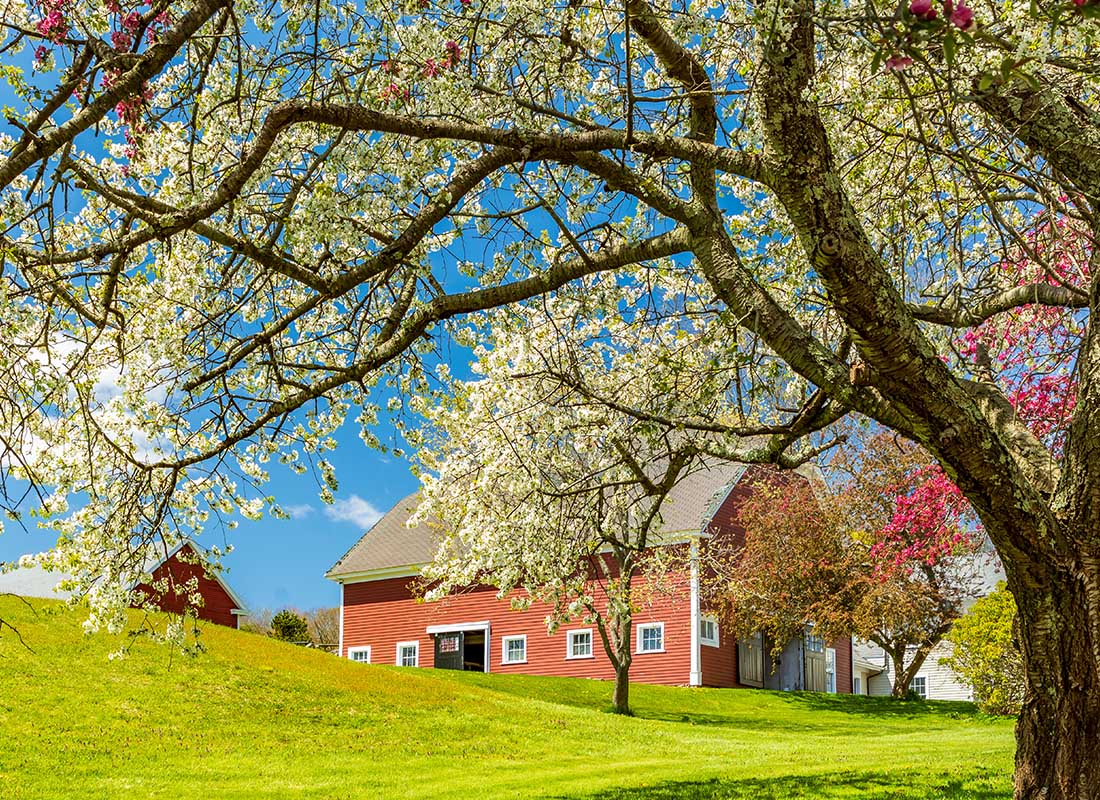 Topsfield, MA - Red Home Near Hills With a Tree Blossoming on a Sunny Day